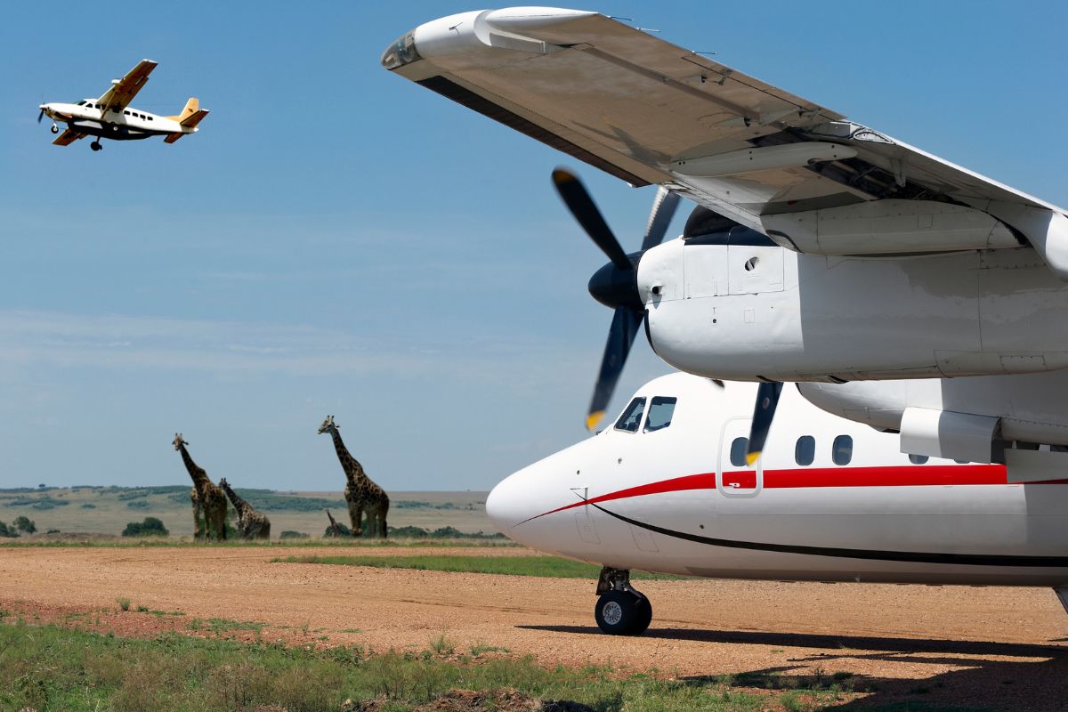 Luxury Safaris and Private Conservancy Tours Kenya