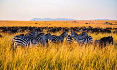 5-Day Amboseli and Tsavo Safari Package
