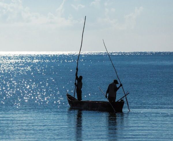 Lake Naivasha Day Trips & Boat Safari Package