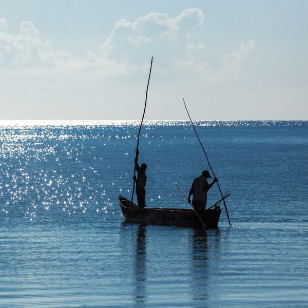 Lake Naivasha Day Trips & Boat Safari Package