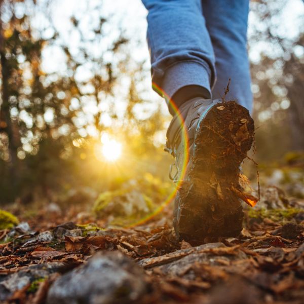 forest hiking adventure in Kenya