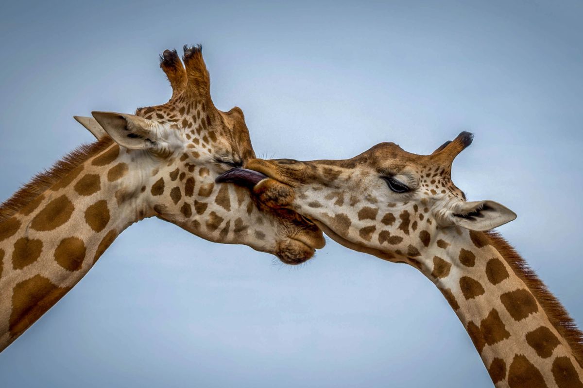 Tsavo East Safari Package