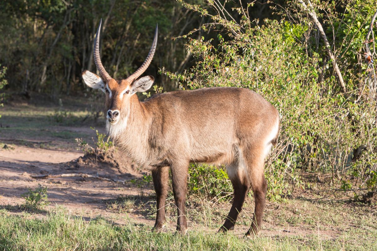1-Day Trip to Lake Naivasha and Hell’s Gate