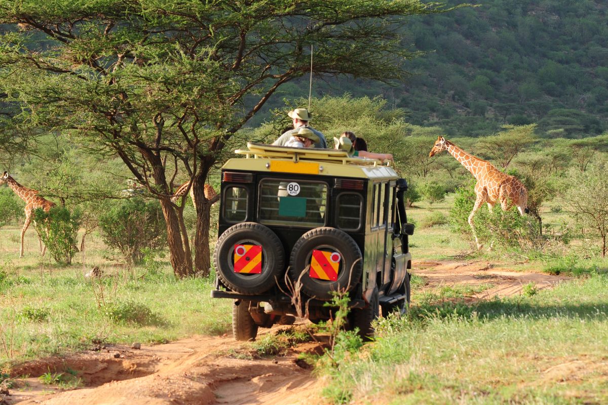 Big Five game drives