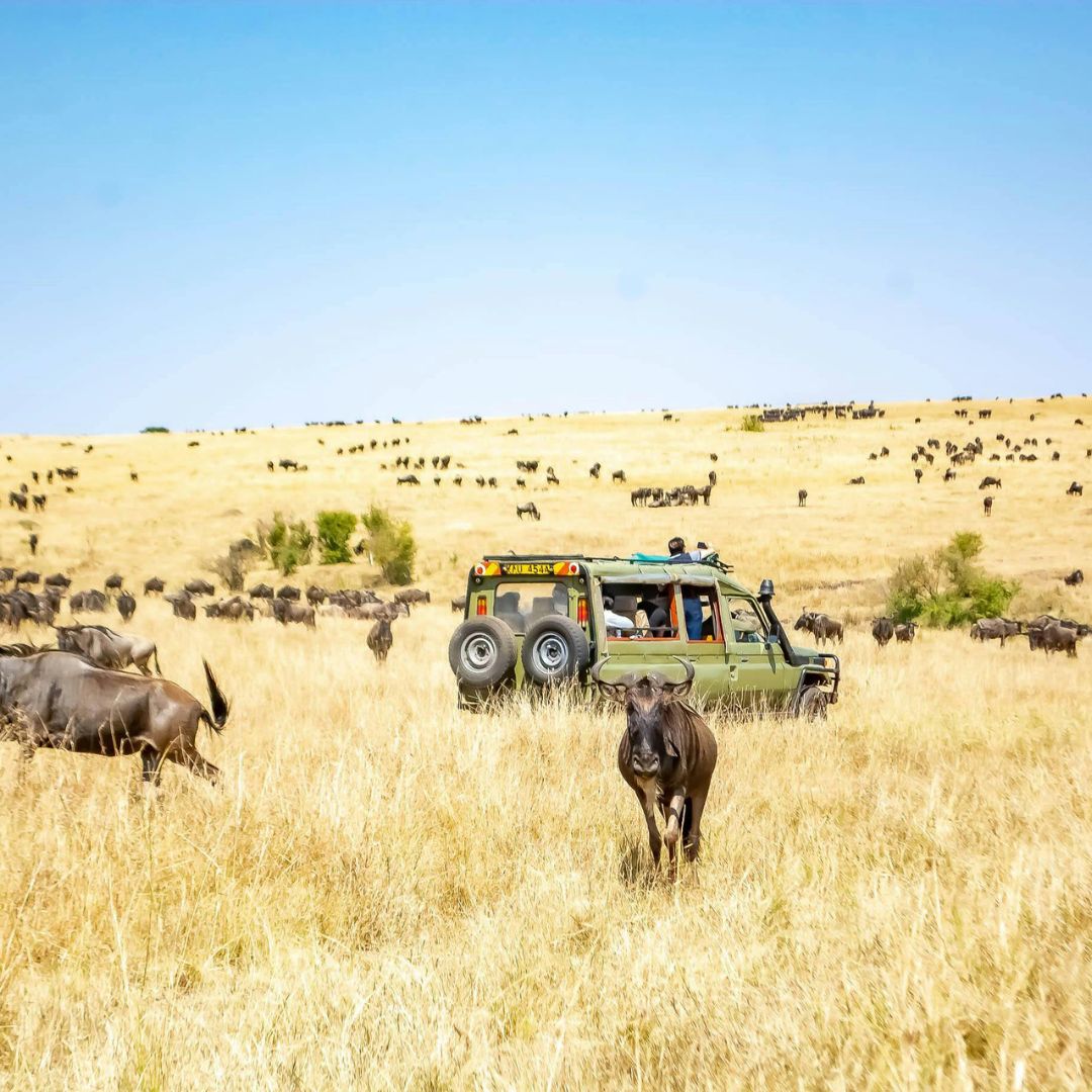 Amboseli National Park Safari Package
