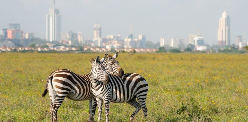 Best 7-Day Kenya Safari Itinerary