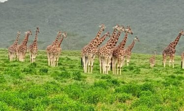 The Best Time to Visit Kenya
