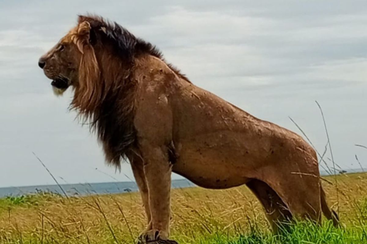 1-Day Lake Naivasha and Hell’s Gate Tour from Nairobi