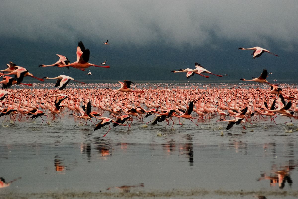 The Best Time to Visit Kenya