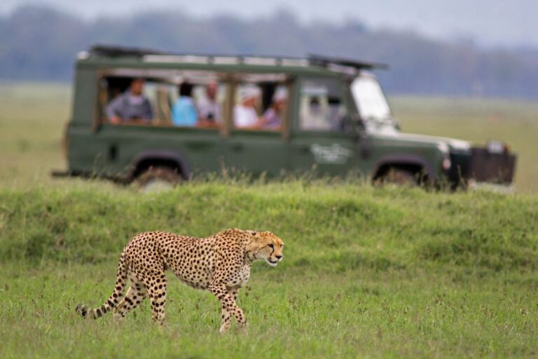 Top Tours and Safari Agencies in Kenya