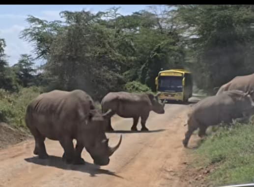 Nanyuki Travel and Safari Packages