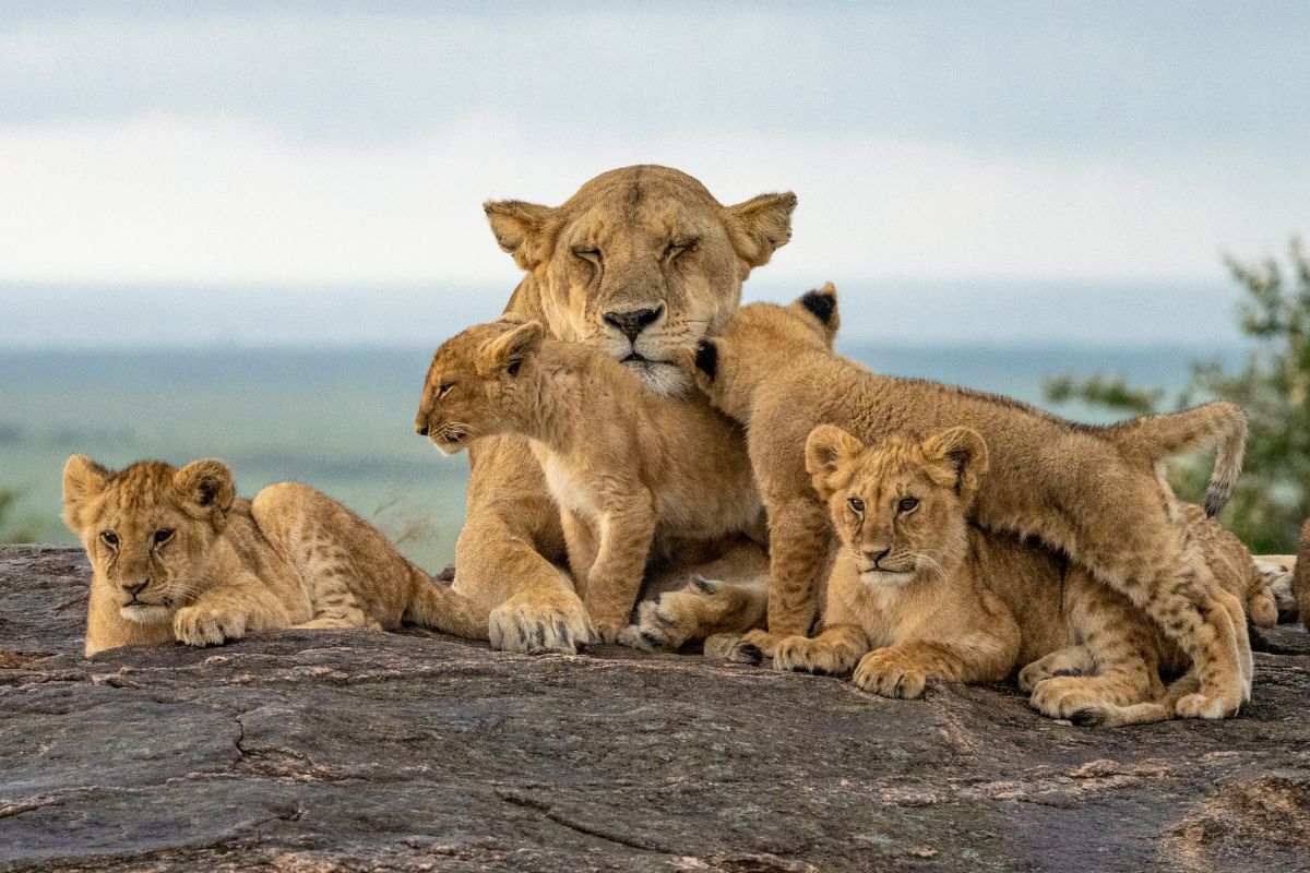 Mombasa Beach Holidays and Excursion Packages
