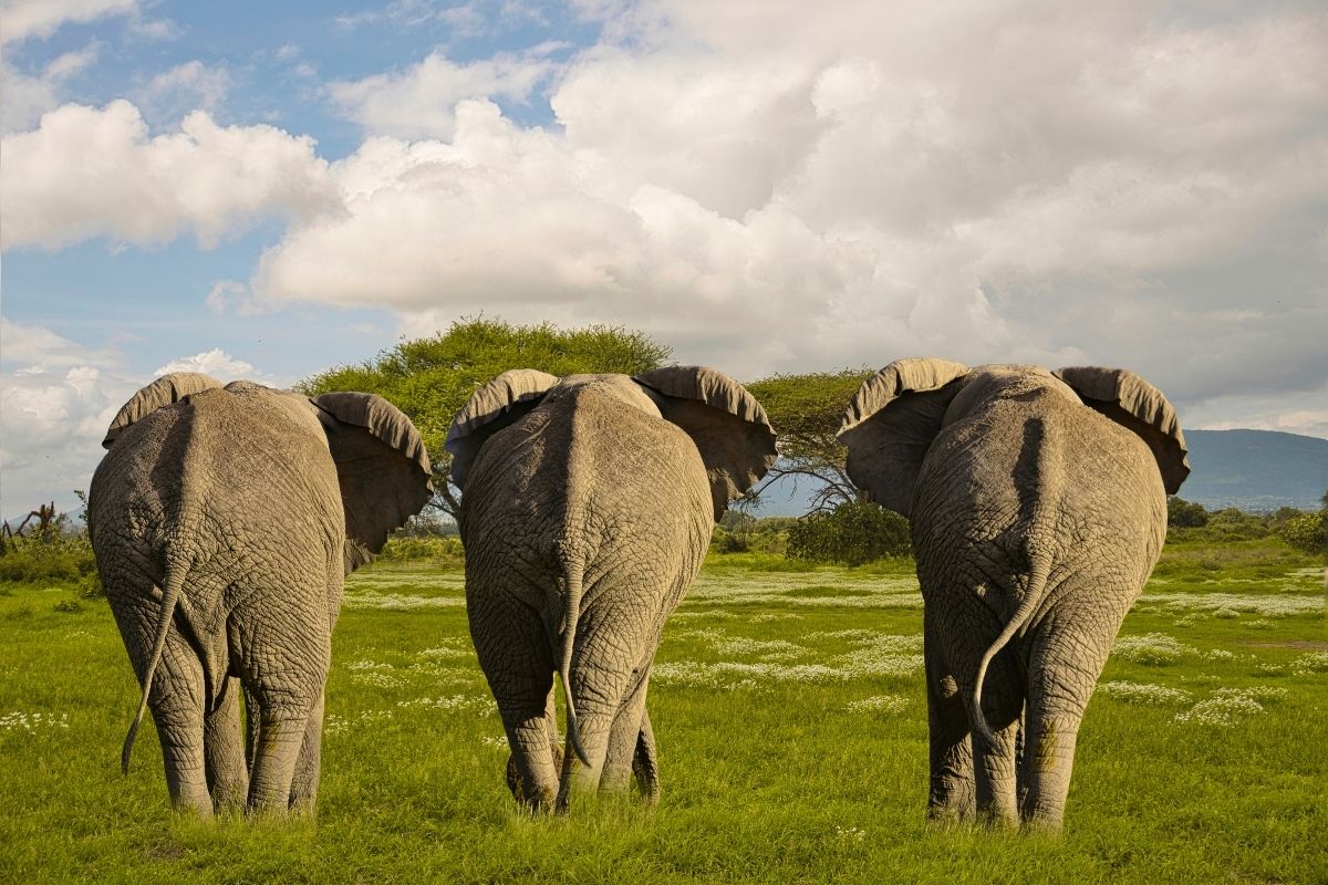 All-inclusive Mombasa beach packages